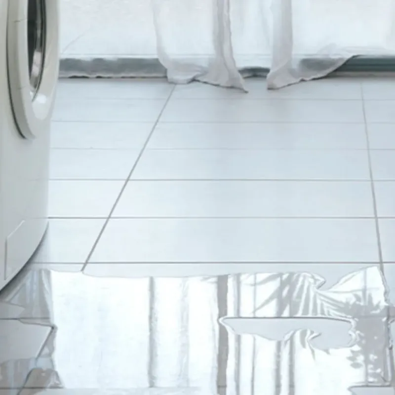 Appliance Leak Cleanup in Somerset, TX