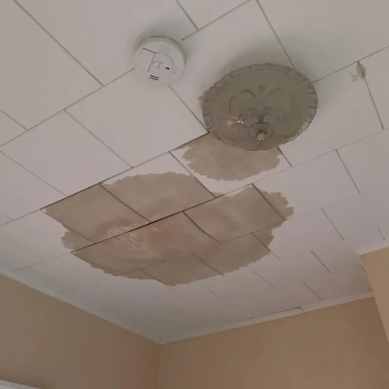 Ceiling Water Damage Repair in Somerset, TX
