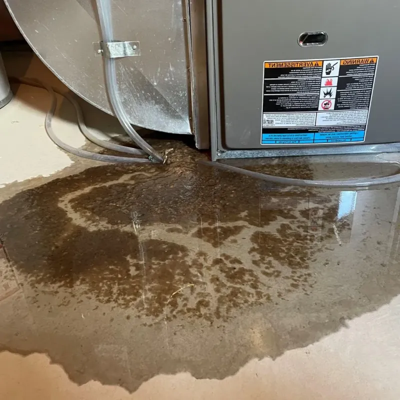 Pipe Burst and Leak Restoration in Somerset, TX