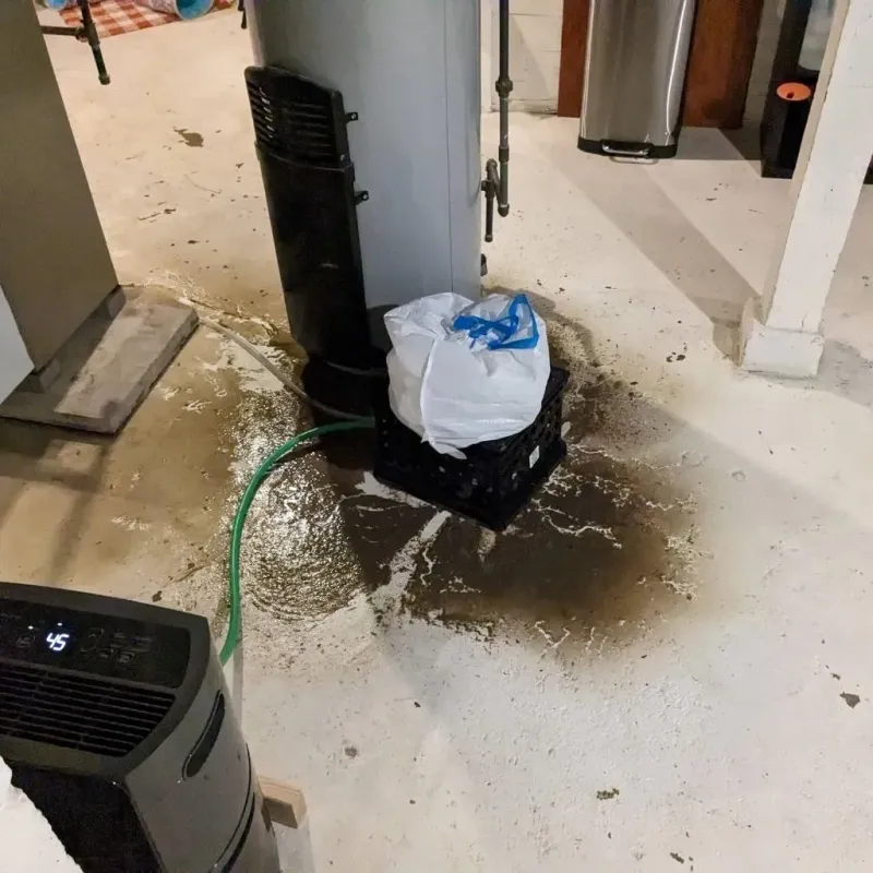 Sewage Backup Cleanup Service in Somerset, TX
